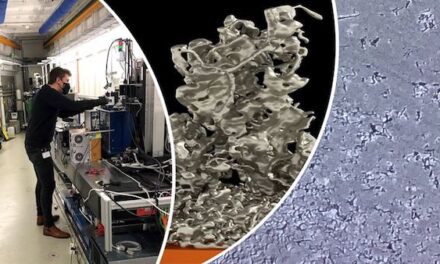 3D battery imaging reveals the secret real-time life of lithium metal cells
